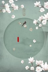 小红帽永久回归2026版在线观看